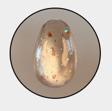 Water Drop Gel Coral