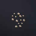 ICEGEL Gold Shell Nail Charm NC-247