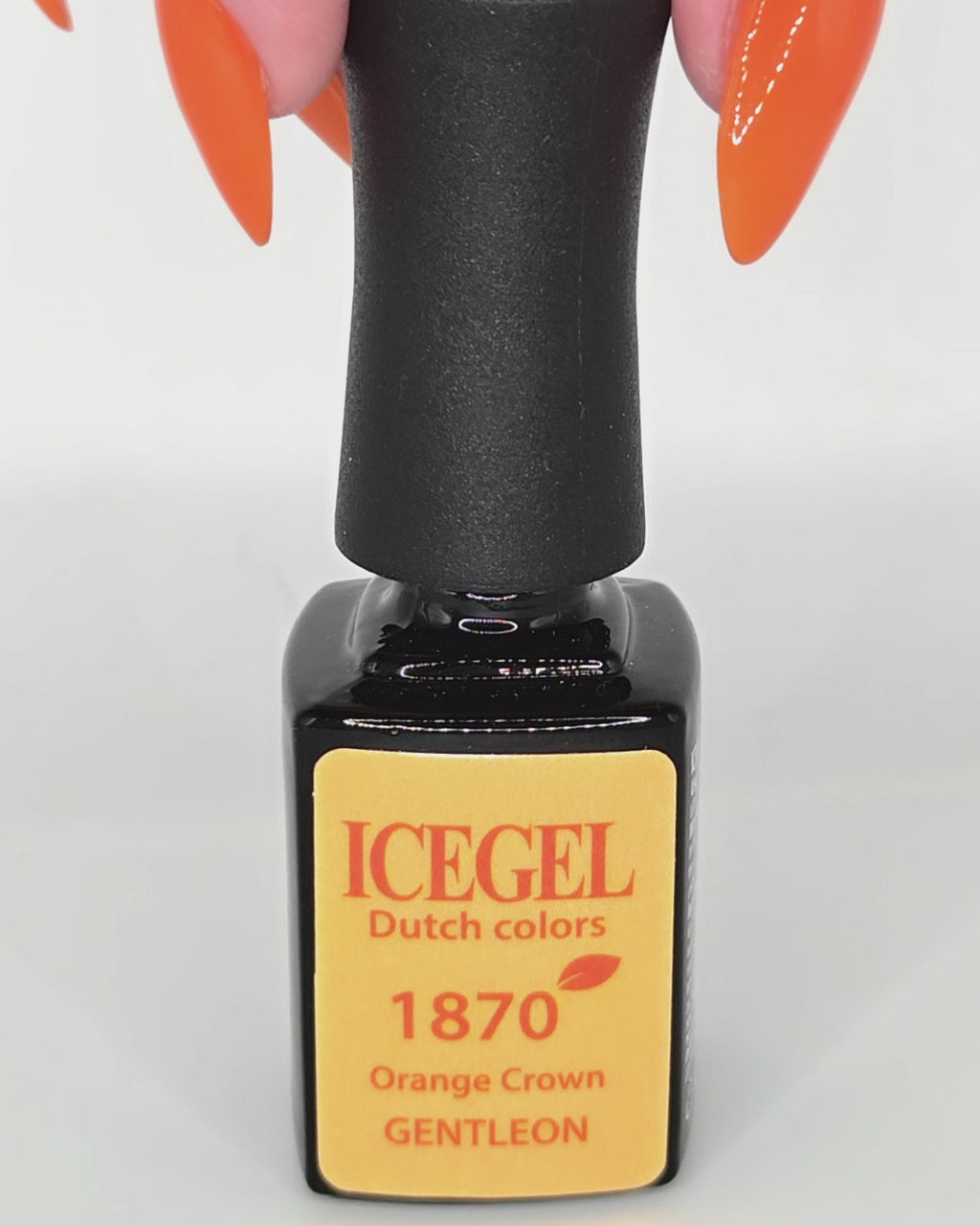 Orange Crown | ICEGEL